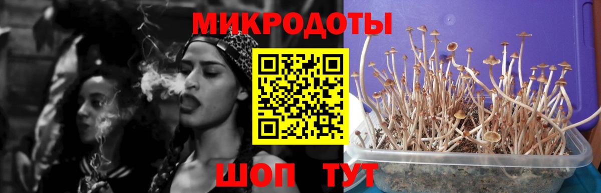 Галлюциногенные грибы мухоморы  Вход с VPN  Кунгур 